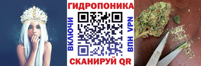 Марихуана планчик Калининград