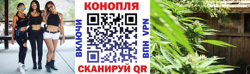 Бошки Шишки конопля  Купить  Калининград 